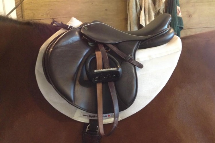 Customized Hunter Saddle Pad (17.5-inch Pessoa Gen X Elita Hunter saddle with a forward flap)