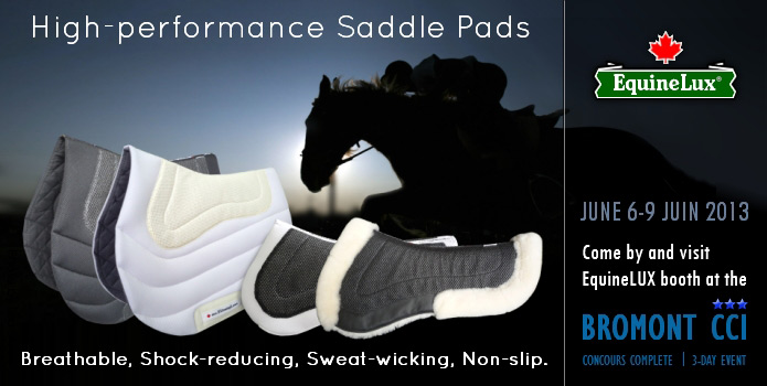 Saddle Pads and Half-Pads