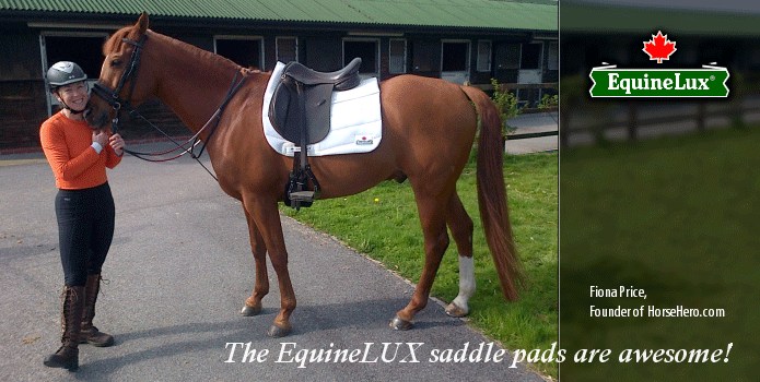 SHOCK-REDUCING Dressage Saddle Pad