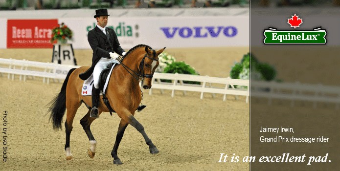 SWEAT-WICKING Dressage Saddle Pad
