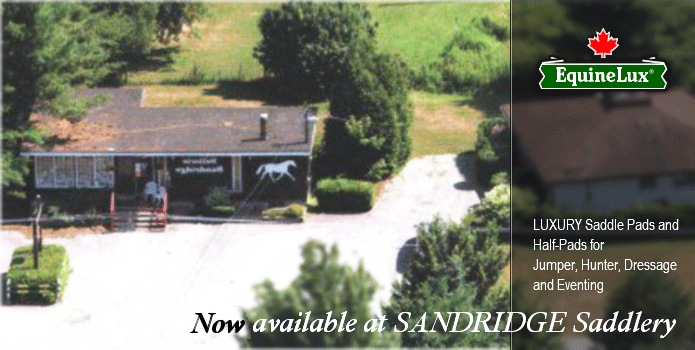 Saddle Pads Sandridge Saddlery