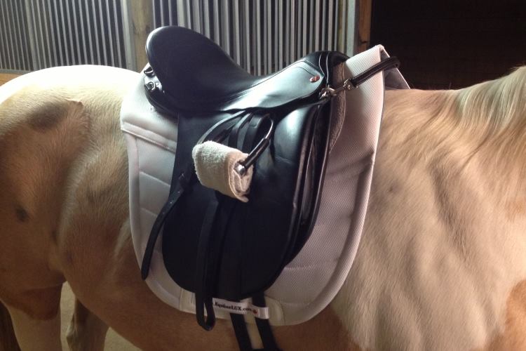 Endurance saddle pad with cotton lining, fleece roll, and pockets for shims