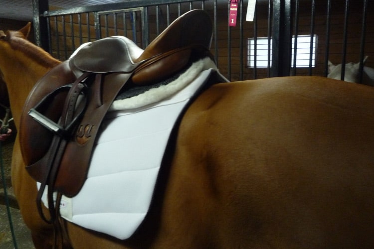 English saddle pads - SHOCK-REDUCING non-slip Dressage saddle pad with pockets for shims, cotton lining, leather reinforcements