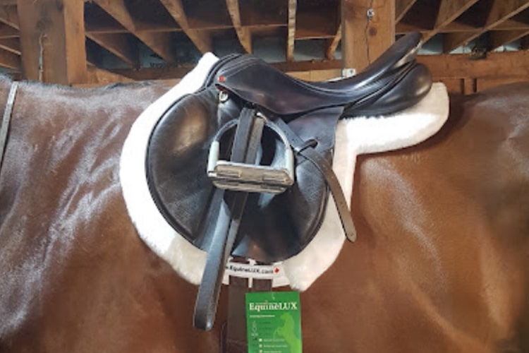 English saddle pads - EASY-ADJUSTABLE non-slip Hunter sheepskin lined saddle pad with pockets for shims, sheepskin rolled edge, leather reinforcements